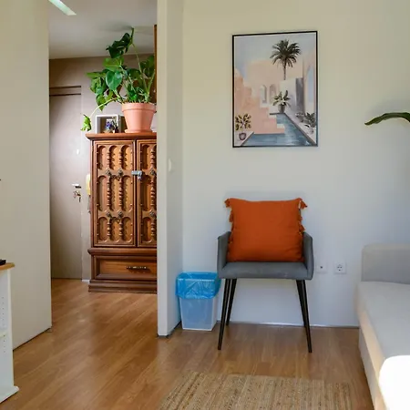 Travel & Live Alegria