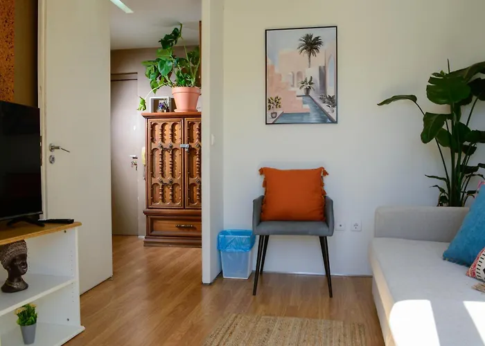 Travel & Live Alegria