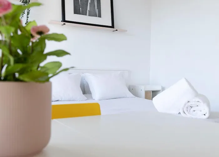 Travel & Live Alegria *