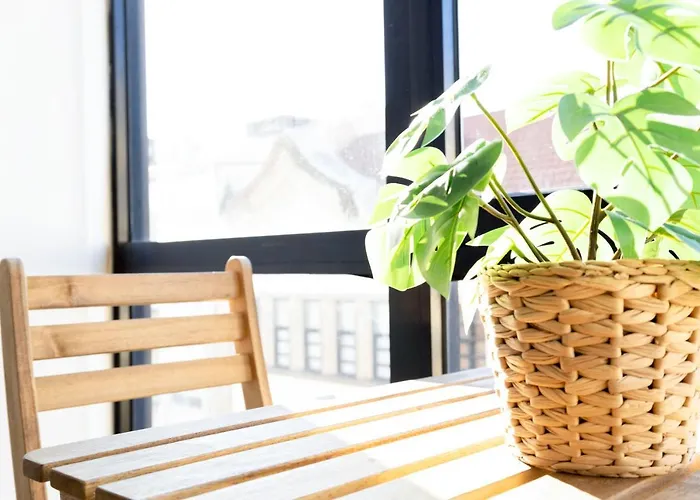 Apartment Travel & Live Alegria Porto