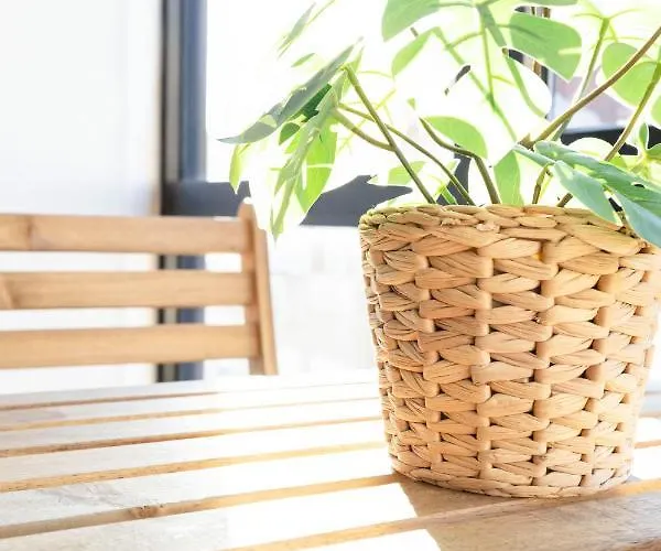 Travel & Live Alegria